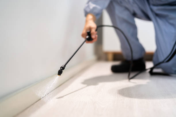 Licensed Termite Control service in Terre du Lac, MO - Nex Pest Control