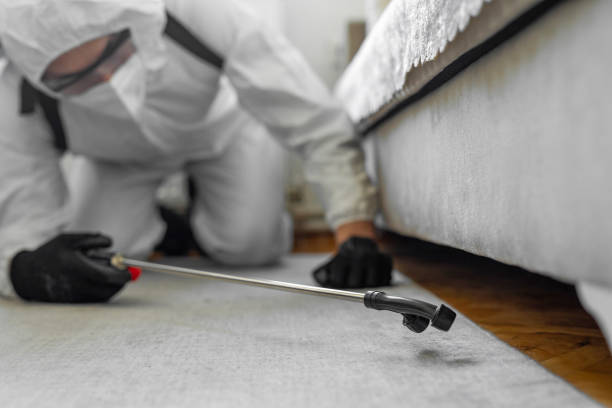 Professional Termite Control technician working in Terre du Lac, MO