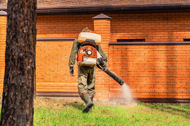 Trusted Cockroach Control service in Terre du Lac, MO - Nex Pest Control